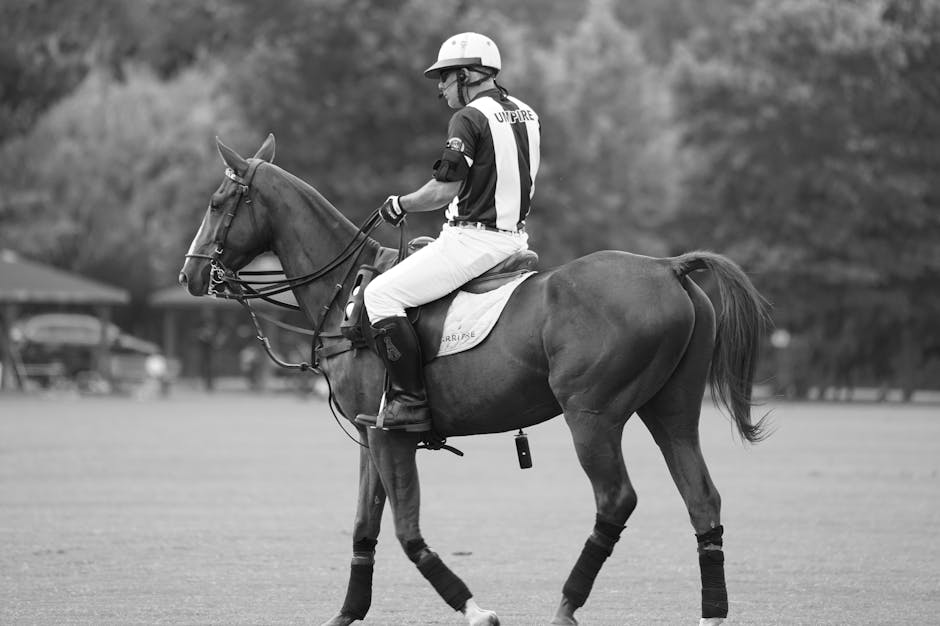 Dressurgamaschen 4er Set